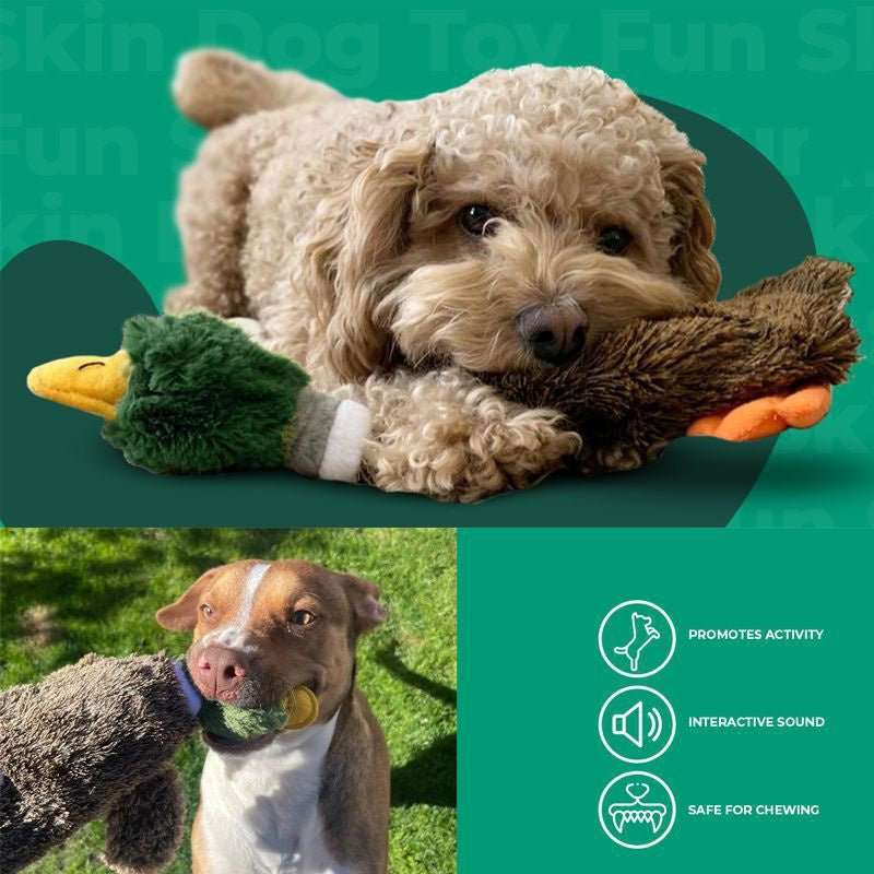 Best Pet Supplies stuffless squeaky duck dog toy with dual squeakers and bottle crunch cavity