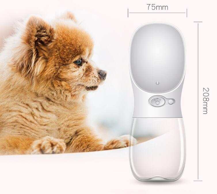 Portable pet water bottle with one-touch button and leakproof design for outdoor use.