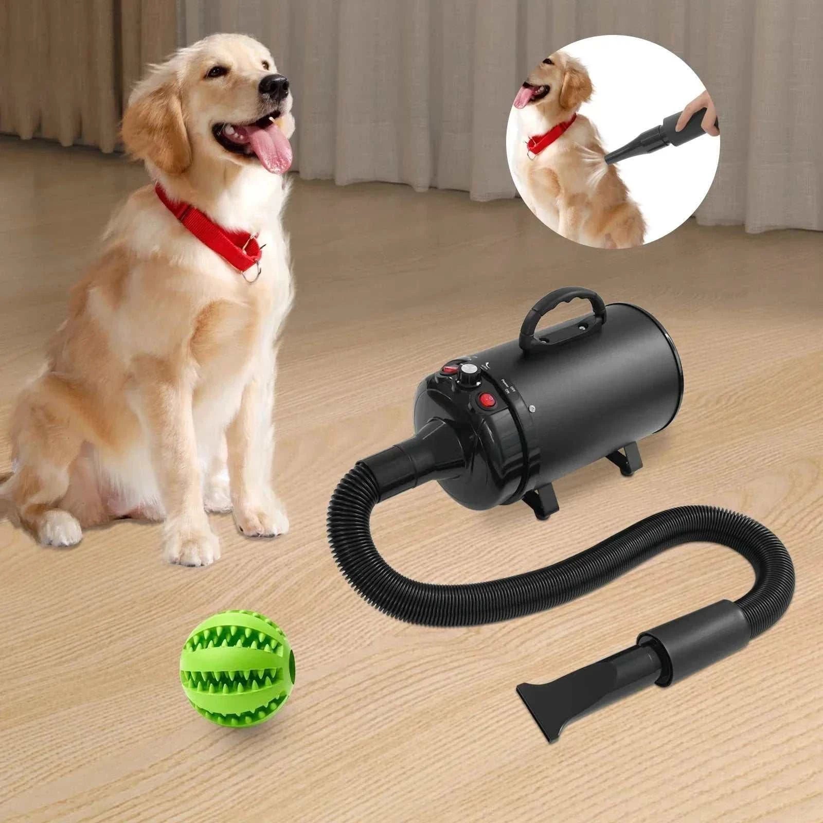 Professional 2200W pet hair dryer with four nozzle attachments and adjustable heat settings