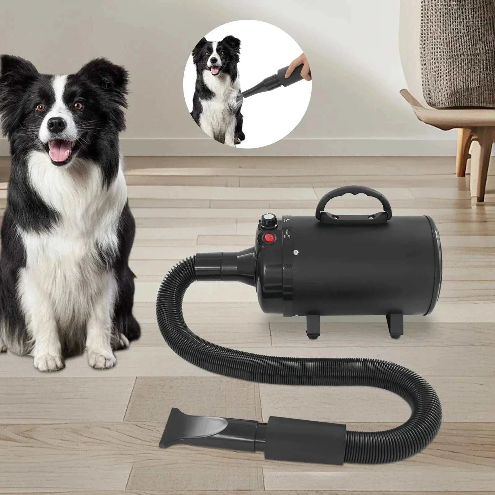 Professional 2200W pet hair dryer with four nozzles and adjustable heat for efficient grooming