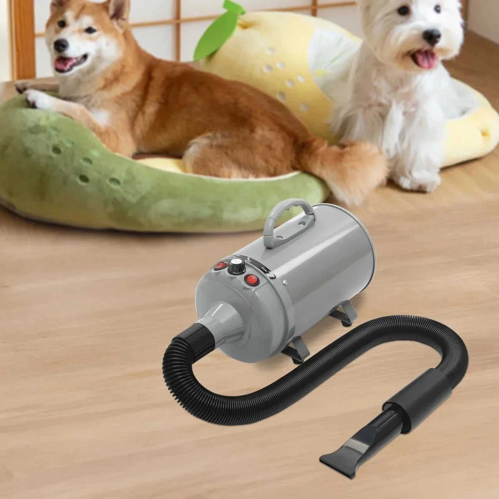 Professional 2200W pet hair dryer with four nozzles and adjustable settings for efficient grooming