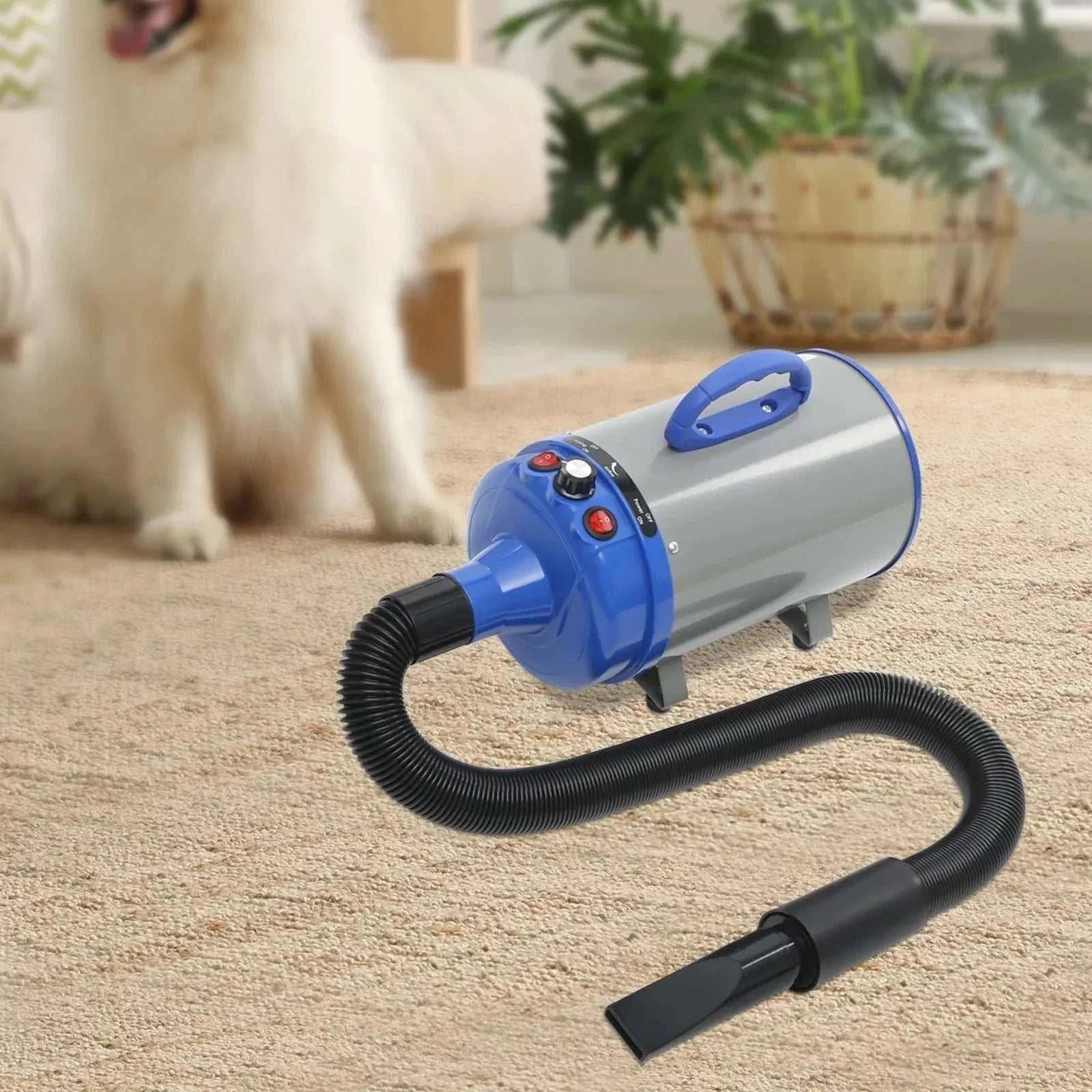 Professional 2200W pet hair dryer with four nozzle attachments and adjustable heat settings for efficient grooming