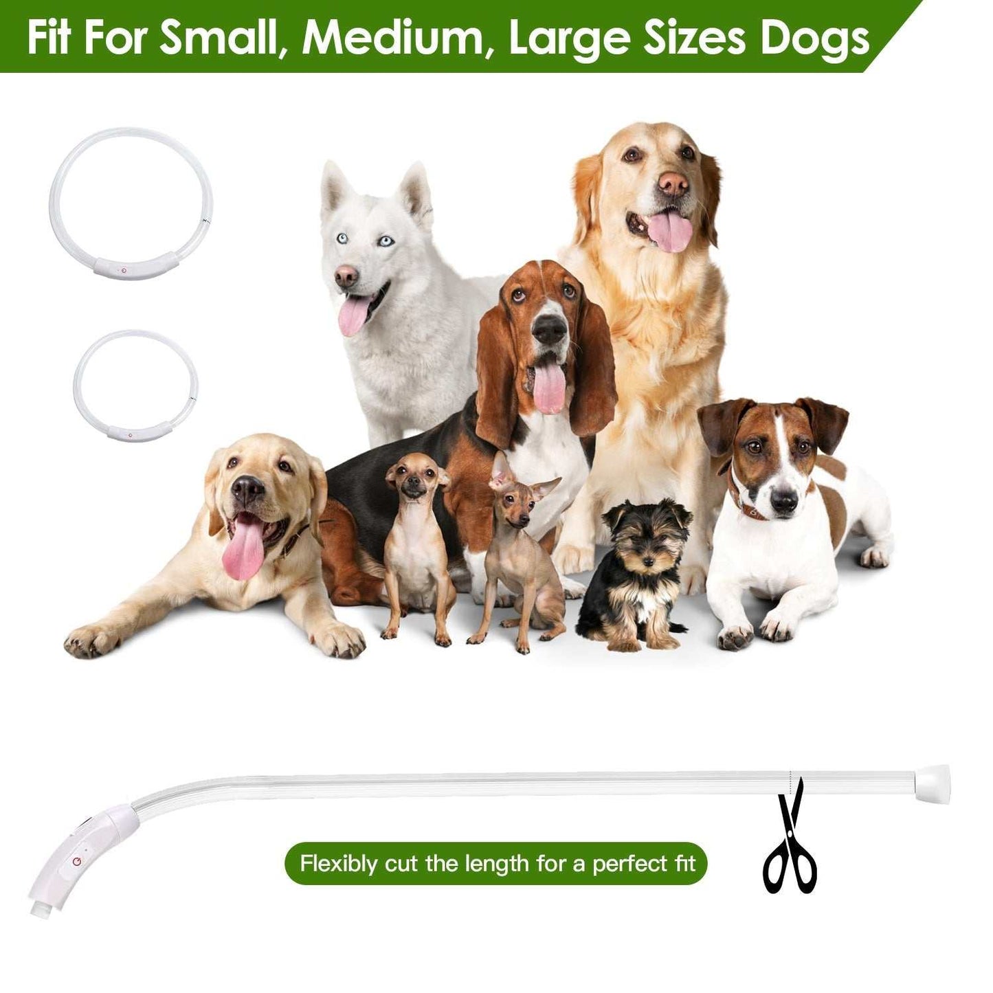 USB rechargeable LED dog collar with 3 light modes and adjustable sizes for safe night walks