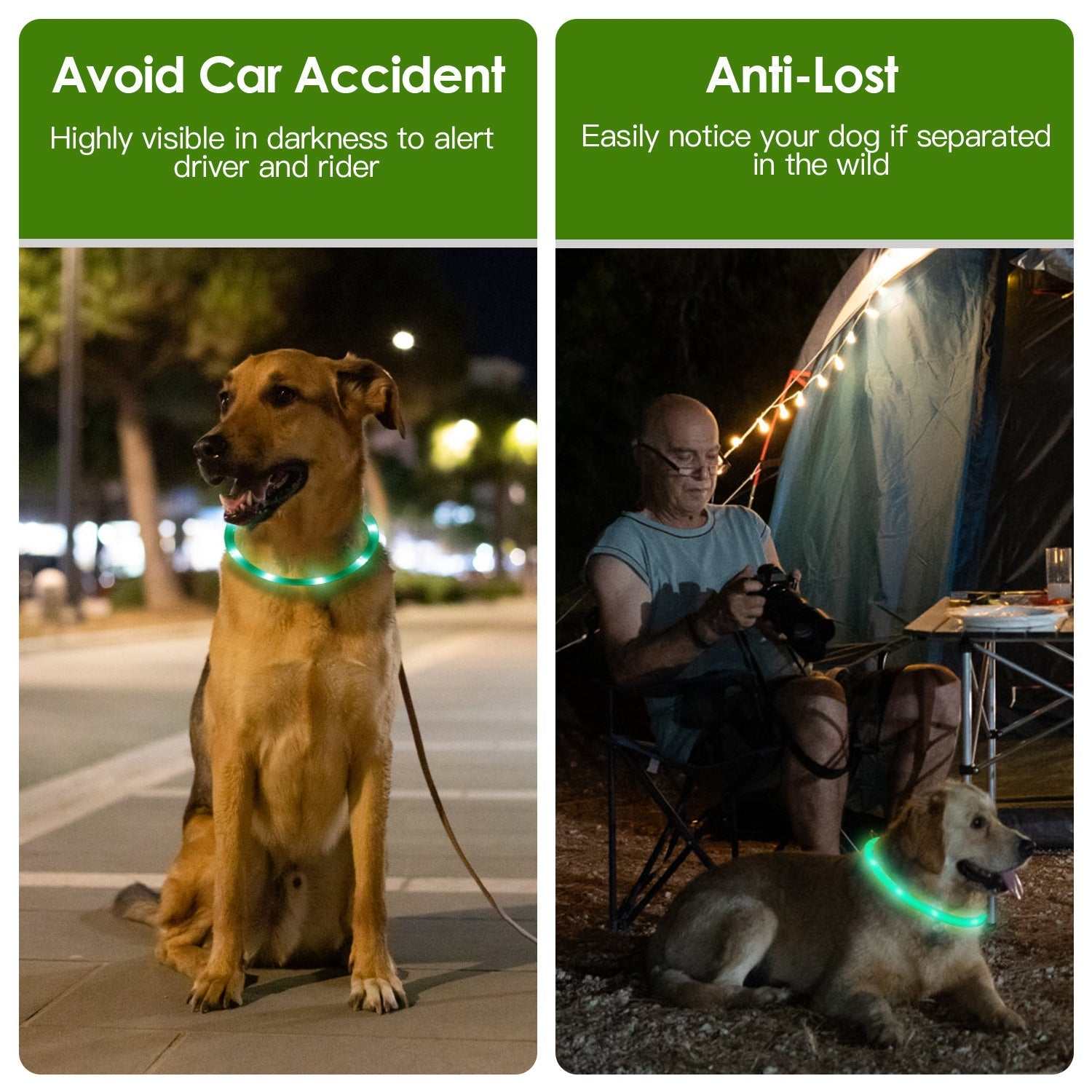 USB rechargeable LED dog collar with 3 light modes, adjustable sizes, and bright visibility for safe night walks